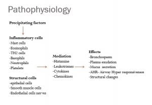 Pathophysiology of Bronchial Asthma